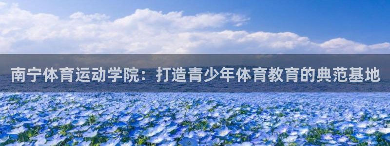 乐球体育app官网：南宁体育运动学院：打造青少年体育教育的典范基地