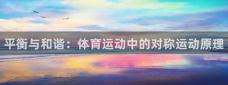关键词：平衡与和谐：体育运动中的对称运动原理