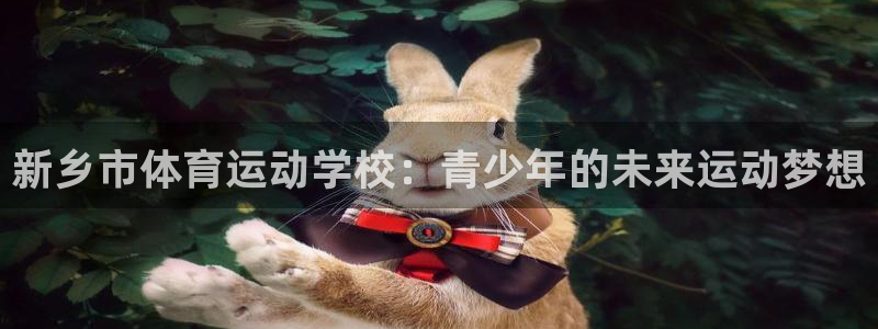 乐球体育app官方下载：新乡市体育运动学校：青少年的未来运动梦想