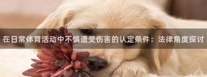 乐球体育app官网