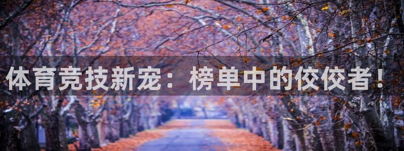 关键词：体育竞技新宠：榜单中的佼佼者！