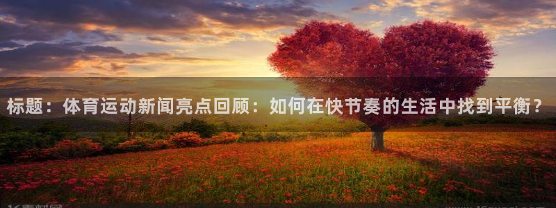 乐球体育d罗直播间