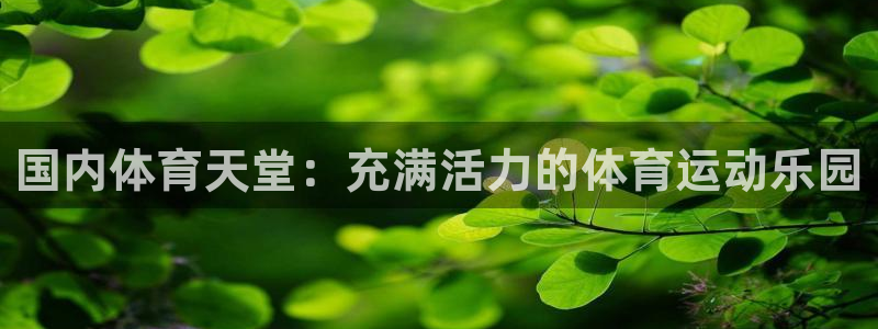 乐球体育今日推荐免费：国内体育天堂：充满活力的体育运动乐园