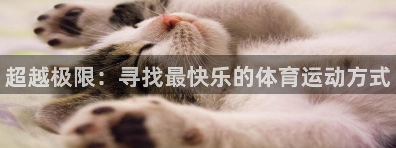 乐球体育足球直播：超越极限：寻找最快乐的体育运动方式