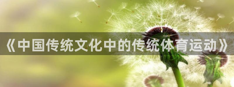 乐球体育