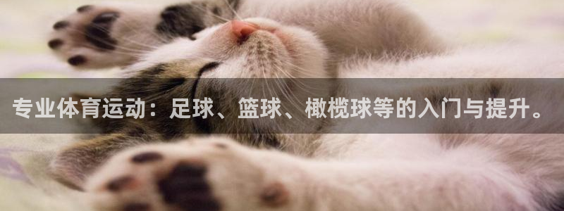 乐球体育d罗直播间：专业体育运动：足球、篮球、橄榄球等的入门与提升。