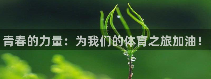 乐球体育火箭对公牛录像：青春的力量：为我们的体育之旅加油！